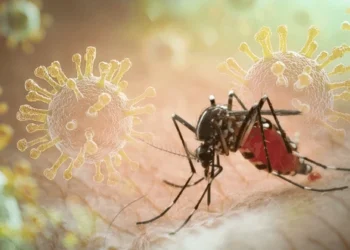 मुंबईत डेंग्यू व चिकनगुनियाचा प्रकोप; आरोग्य विभागाची मोहीम आणि नागरिकांची काळजी आवश्यक