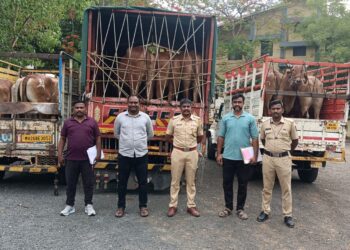 देगलूर पोलिसांची ऑपरेशन क्रॅकडाऊन अंतर्गत मोठी कारवाई