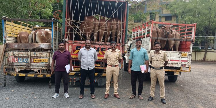 देगलूर पोलिसांची ऑपरेशन क्रॅकडाऊन अंतर्गत मोठी कारवाई