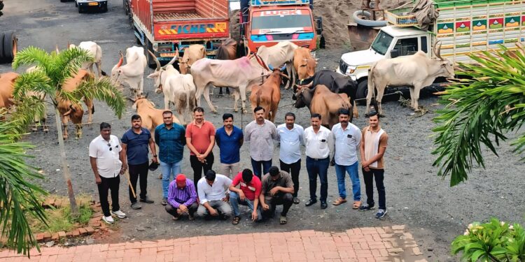 अवैध गोवंश वाहतूक रोखली १९ जनावरांसह २२.६० लाखांचा मुद्देमाल जप्त