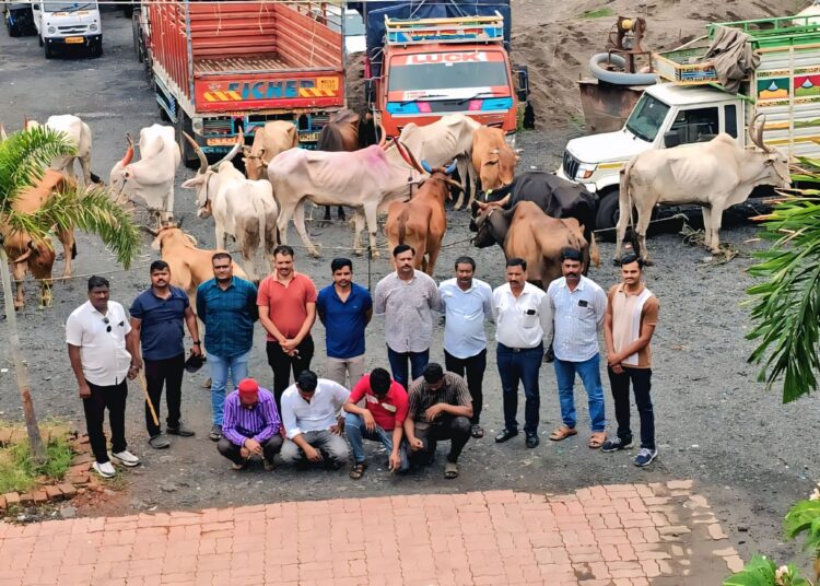 अवैध गोवंश वाहतूक रोखली १९ जनावरांसह २२.६० लाखांचा मुद्देमाल जप्त