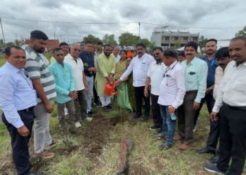 कृषी दिनानिमित्त सांगवीत मनपा आणि वृक्षमित्र फाऊंडेशनतर्फे उत्साहात वृक्षारोपण