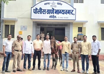 चोरीला गेलेला ८० हजारांचा मारवाडी जातीचा घोडा अवघ्या दोन दिवसांत हस्तगत दोन आरोपी ताब्यात