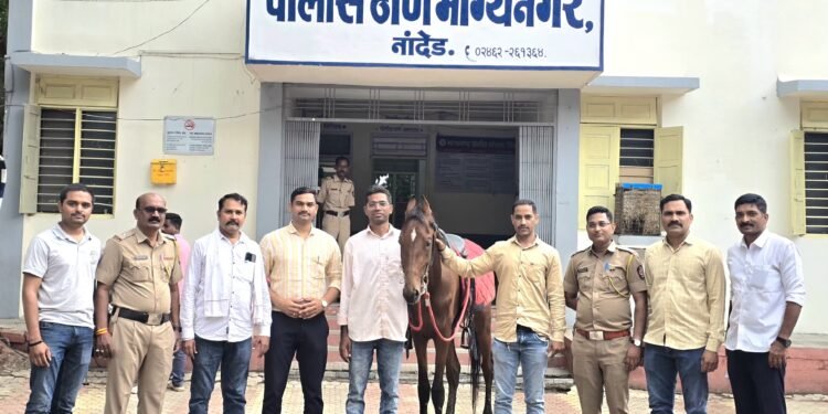 चोरीला गेलेला ८० हजारांचा मारवाडी जातीचा घोडा अवघ्या दोन दिवसांत हस्तगत दोन आरोपी ताब्यात