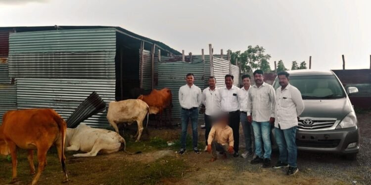 बोंढार हवेली शिवारात इनोव्हा कारमधून चाललेली गोवंश तस्करी उघड ११.१३ लाखांचा मुद्देमाल जप्त एक आरोपी गजाआड तर ४ फरार