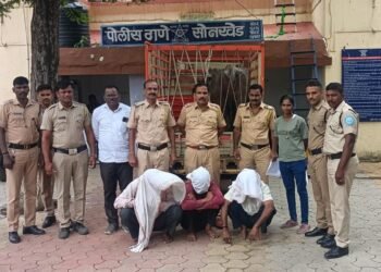 सोनखेड पोलिसांची धडक कारवाई म्हैस चोरीचा गुन्हा उघडकीस ७० हजार रुपयांची म्हैस जप्त करून आरोपींना ठोकल्या ठोकल्या मुसक्या