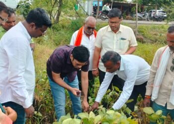 अतिवृष्टीने कोलमडलेल्या बळीराजाला धीर