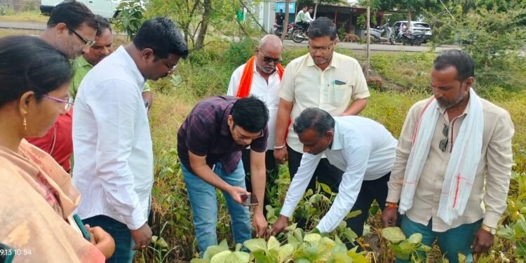 अतिवृष्टीने कोलमडलेल्या बळीराजाला धीर