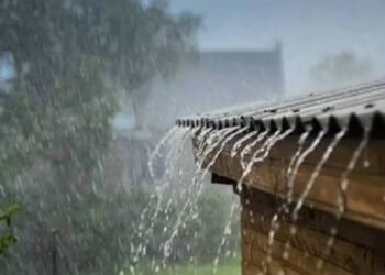 नांदेड जिल्ह्यात २४ तासांत १५.१० मि.मी. पावसाची नोंद; हिमायतनगरच्या सरसम मंडळात ९७.५० मि.मी. अतिवृष्टी